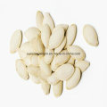 Snow White Pumpkin Seeds with Lower Price and High Quality